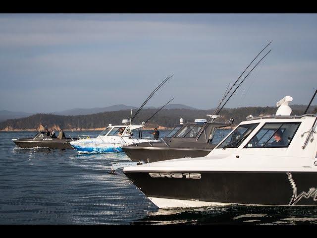 Australian-built Whitepointer fibreglass boats