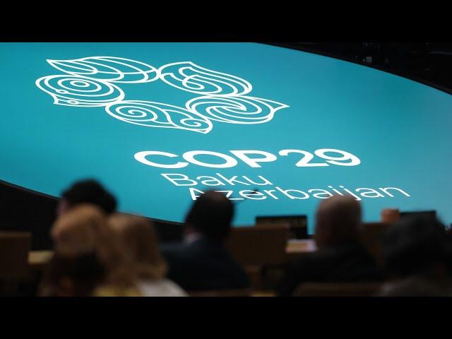 COP29 was a ‘farce’ from the beginning