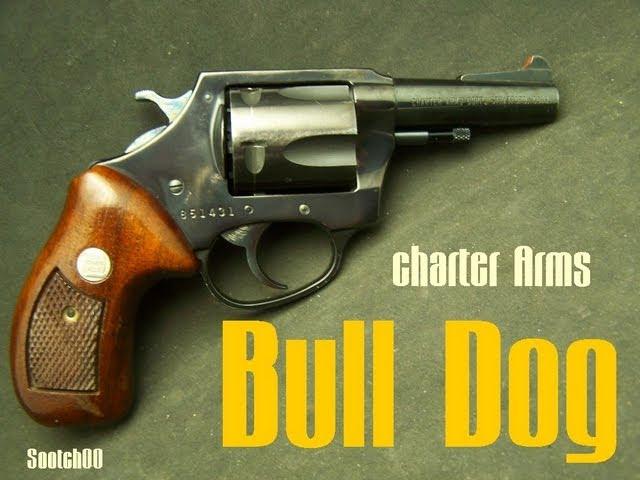 Charter Arms Bull Dog 44 Special