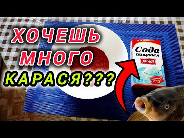 Прикормка ВУЛКАН(ГЕЙЗЕР)заманит много КАРАСЯ и спасет твою рыбалку! Версия 2.0.