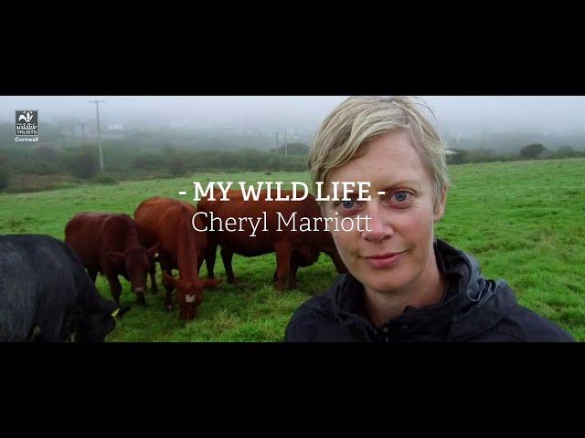 My Wild Life - Cheryl Marriott, conservationist