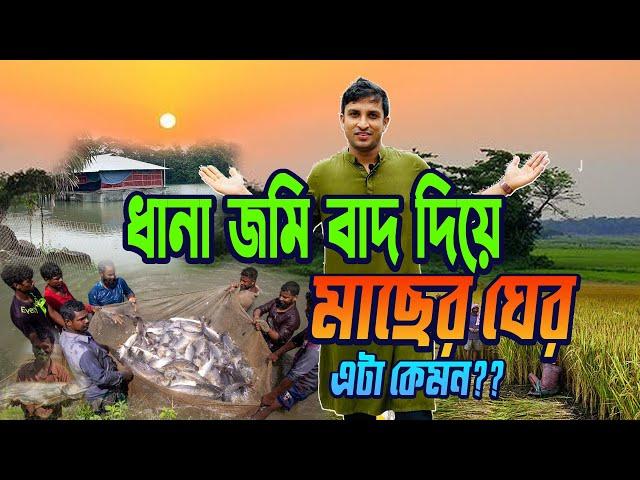 বাংলার কৃষকেরা ধান বাদ দিয়ে কেন মাছ চাষ শুরু করলো ?? Omit the production of Paddy || Fishes ||