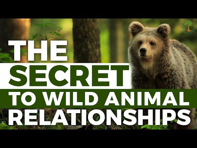 The Secret To a Relationship with a Wild Animal | Steve Karlin