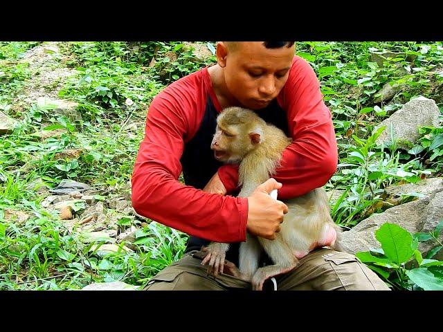 We are feeding children while also cleaning and treating Joyce the monkey.