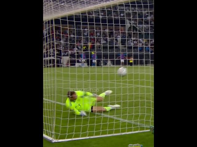 Impossible Goalkeeper Saves + Them 