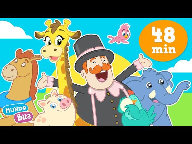 Animais no Mundo Bita #videoinfantil