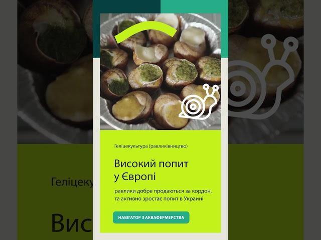 Равлики "Навігатор з аквафермерства"