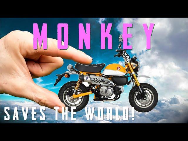 Honda Monkey Bike!  Small yet MIGHTY! - Could this be the answer?