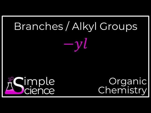 Branches / Alkyl Groups