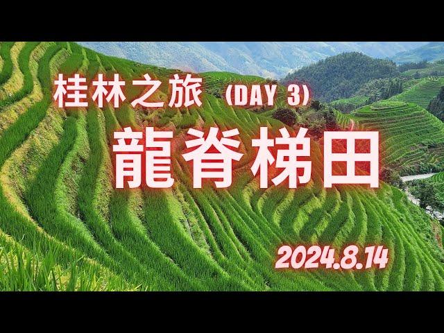 桂林之旅~ Day 3 龍脊梯田