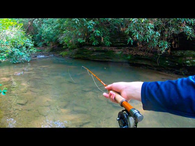 Dry Fly Fishing for Brown Trout! (Creek Fishing)