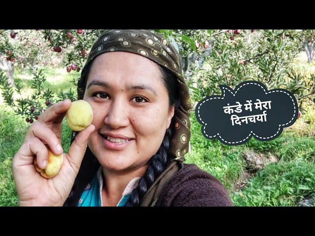 || Mountain Life ( Morning To Evening Routine ) ||Kande Vlog|| Kinnaur HP||