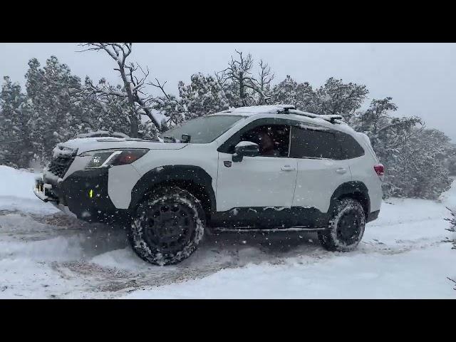 Two Forester Wilderness Offroad in the Snow