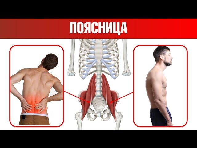 Лучший способ расслабить поясницу. Боль в пояснице