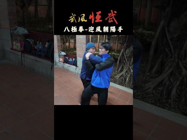 八極拳八大招-迎風朝陽手 拆招 #baji   #kungfu #武術 #martialarts #功夫  #bajiquan #八極拳  #wushu #八大招