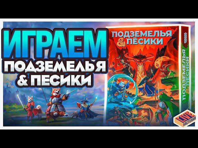 Играем в настольную игру Подземелье и Песики