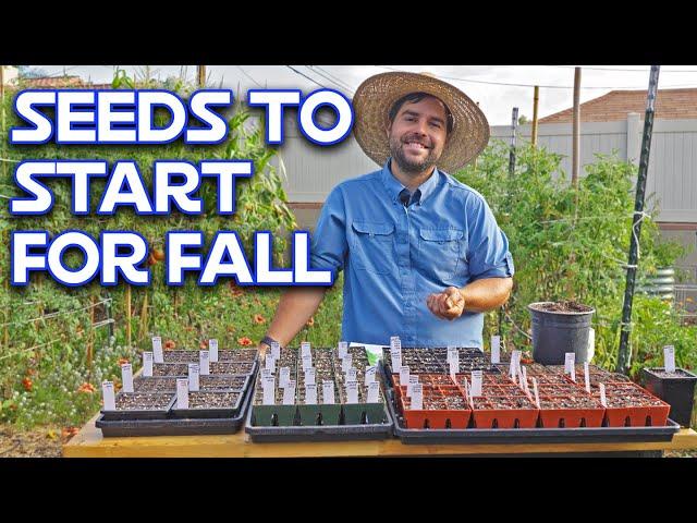 Why I Am Starting My Fall Garden NOW | Veggies, Herbs, & Flowers!