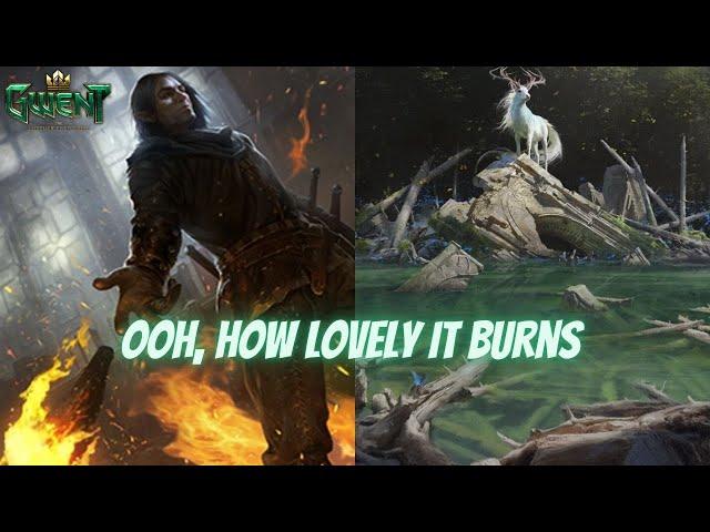 GWENT | Unity In Diversity Resulting Harmony | Schirru Loves To Burn Opponent !