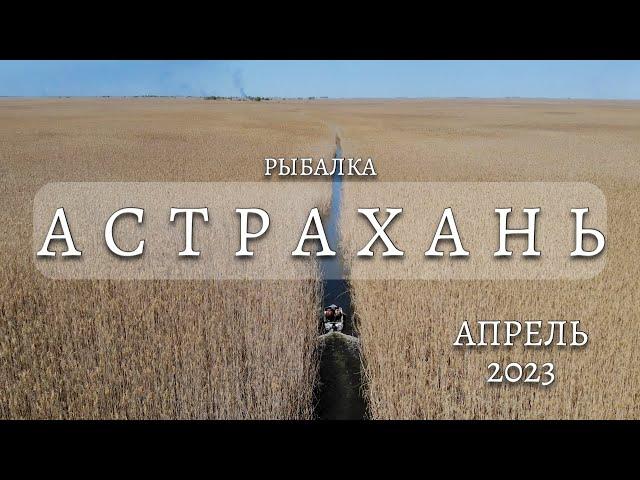 Отдых и рыбалка в АСТРАХАНИ. Заехали в ЗАПОВЕДНИК. ВОБЛА 2023. На рыбалку на Ssangyong REXTON G4.