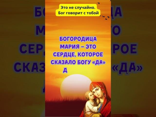 Это не случайно. Бог говорит  #словобожье #молитва #вера #библия #силамолитвы #иисусхристос