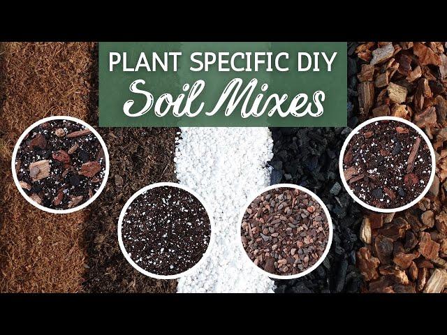 The Perfect Soil by Plant Type | Custom Soil Mix | Houseplant Soil Mix