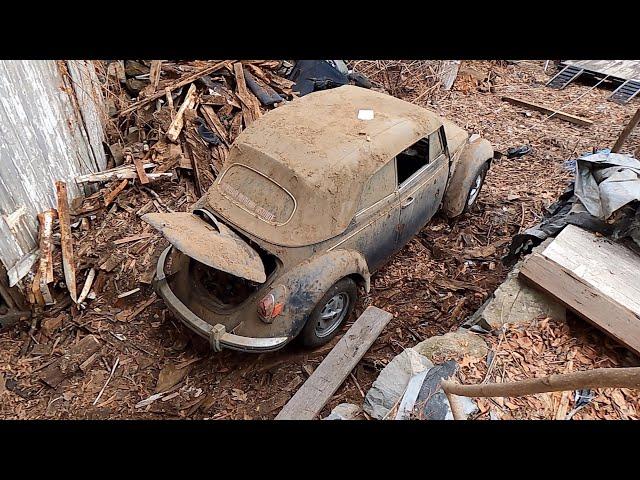 Forgotten Vw Beetle Rescue - Dug & Pulled from its Grave - Saving it !