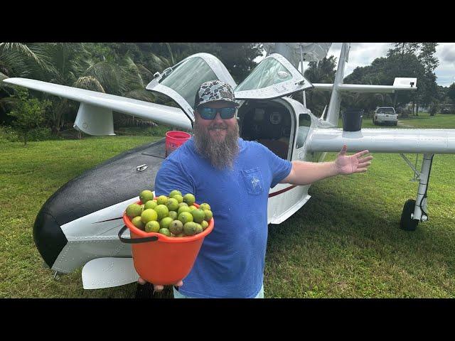 You won't believe how I got these KEY LIMES! | Shrimp Ceviche and Key Lime Pie Recipe