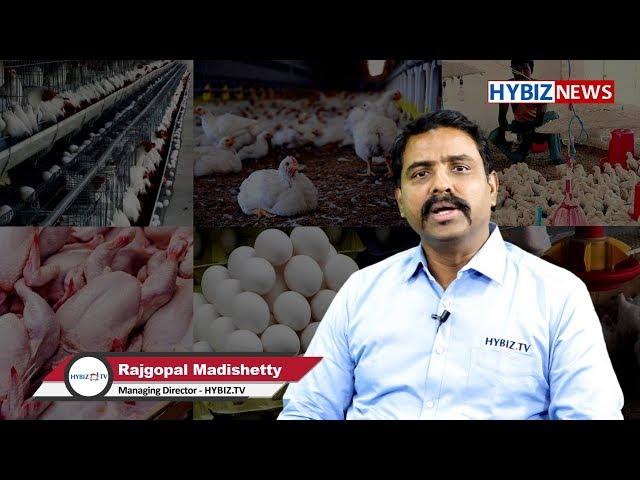 Eat Chicken and Egg Stay Healthy | Rajgopal Madishetty | Hybiz TV