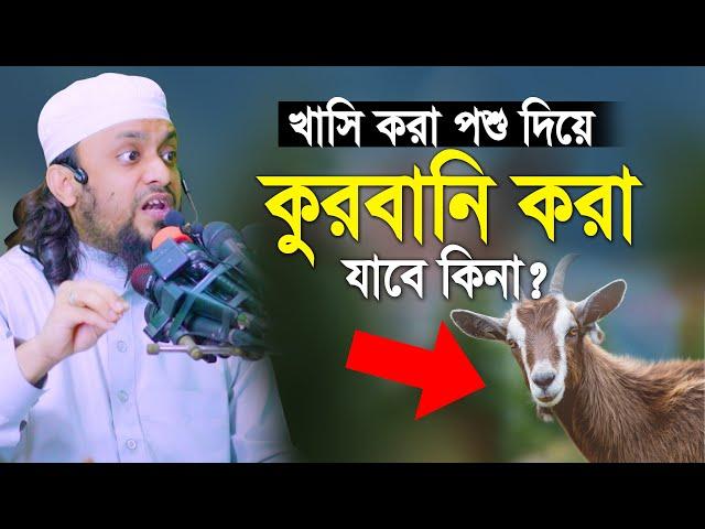 খাসি করা পশু দিয়ে কুরবানি করা যাবে কিনা ? অনেকেই যানে না | Abdul Hi Muhammad Saifullah