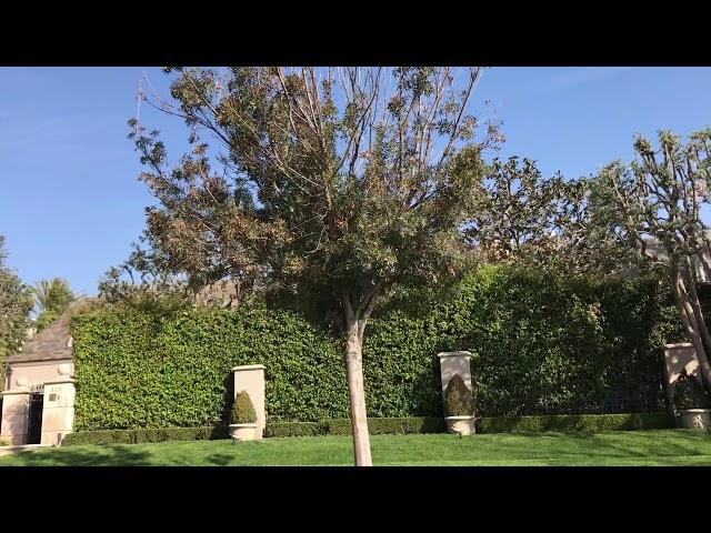 On the largest and rarest double lot in the flats of Beverly Hills on 1.68 private acres