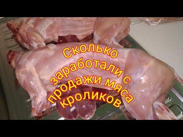 Сколько заработали с продажи мяса кроликов #кролики #мясо_кроликов #разведение_кроликов #Rabbit