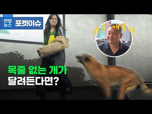 [포켓이슈] 개가 물었을 때 '여기' 잡아 들면 입 벌립니다