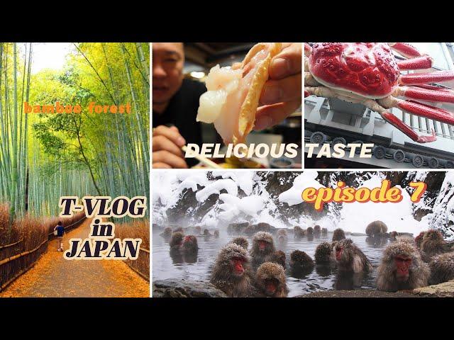 Japan monkey park. Bamboo forest .king crab