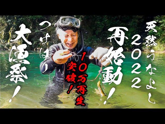 【史上最高記録！】レジェンド漁師のうなぎのつけばり大漁祭！　Legendary fisherman's eel tsukubari big catch festival!