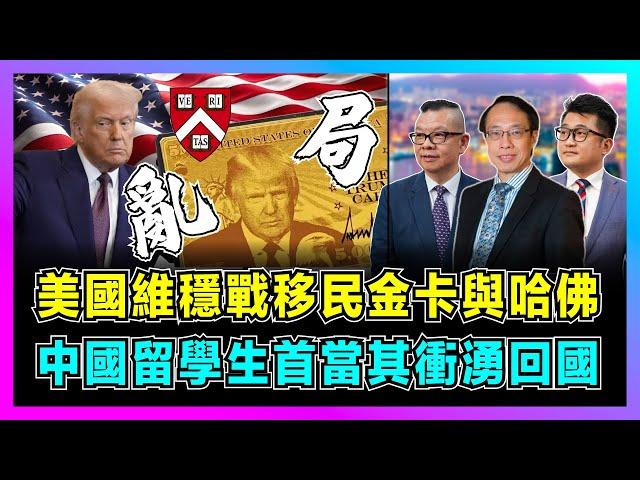 特朗普維穩戰！美國移民金卡與哈佛禁令，中國留學生首當其衝湧回國！｜美國政治鬥爭亂局，特朗普真實背後有何考量？【世界事．咪話唔關香港事 EP96】