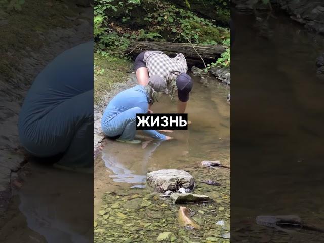 Что такое образование?