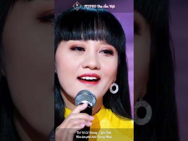 Xuyến xao câu hát về quê hương đầy hoài niệm  Trở Về Cố Hương   Liên Tịnh