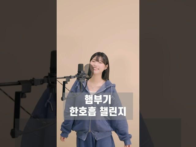 햄부기햄북 햄북어 햄북스딱스함부르크햄부가우가햄비기햄부거 햄부가티햄부기온앤온을 차려오거라