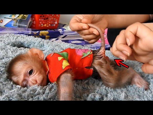 Dramatic Poopoo!! Mom Cleaning Diaper & Apply Cream B**tt For Little Dody