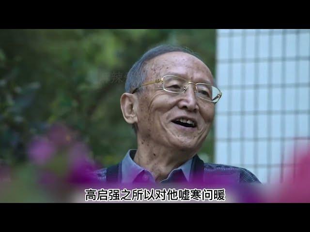 狂飙大结局：幕后隐藏大佬曝光，高启强成替死鬼，安欣崩溃大哭【麻辣爱解说】