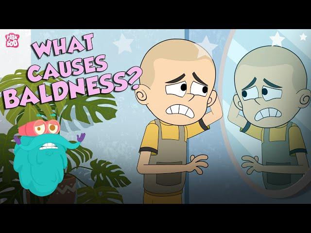 What Causes Baldness? | Causes Of Hair Loss | The Dr Binocs Show | Peekaboo Kidz