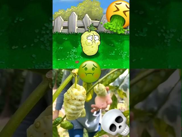 The Vomit Fruit (Noni)  (PVZ) #pvz #plantsvszombies