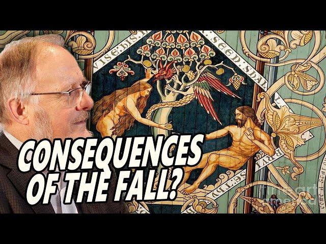 What did Adam's Fall Cause? Pain in Childbirth? Death? Disease? ft. Iain Provan