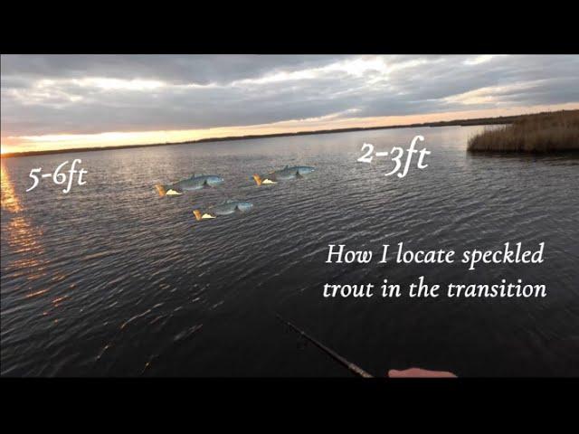 How I locate speckled trout in the transition!!!