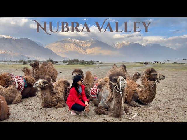 The Desert in the Himalayas | Nubra Valley 