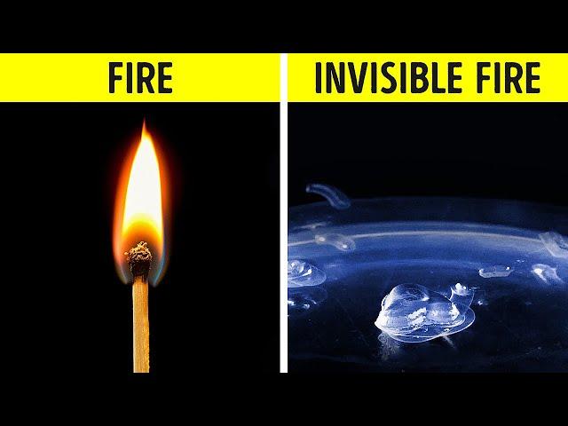 WONDERFUL SCIENCE EXPERIMENTS LOOK LIKE PURE MAGIC