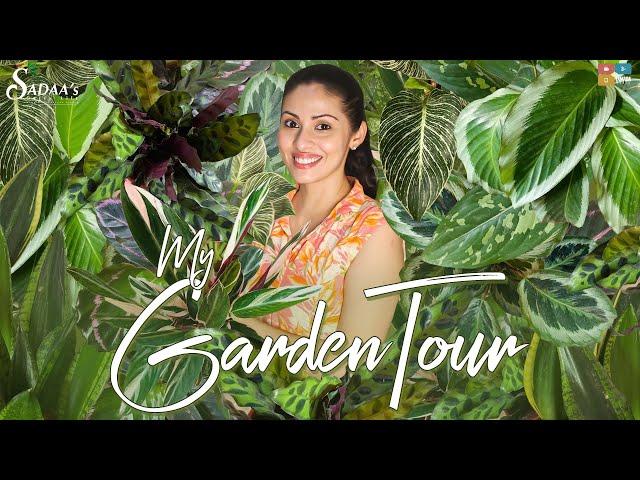 My Garden Tour || Indoor Garden Tour || Actress Sadaa || Sadaa's Garden Tour | Sadaa's Green Life