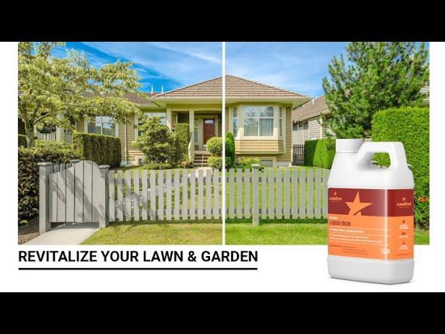 Daily Dose of Jeff: Lawn Secrets: Lawnstar Liquid Iron a must