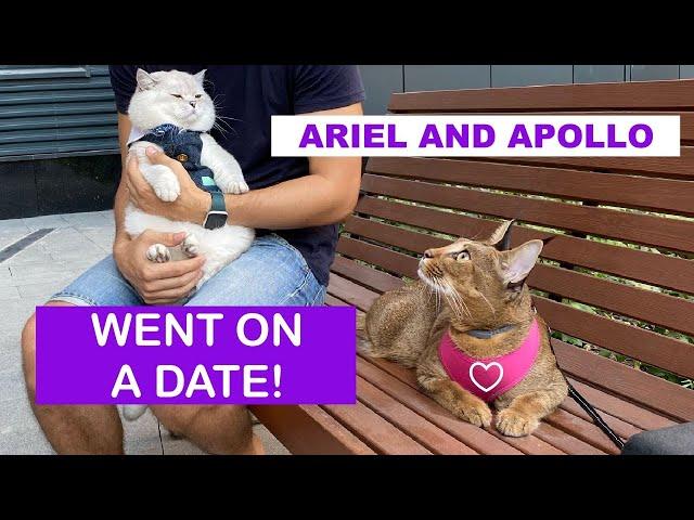 Ariel Caracat and Apollo on a date