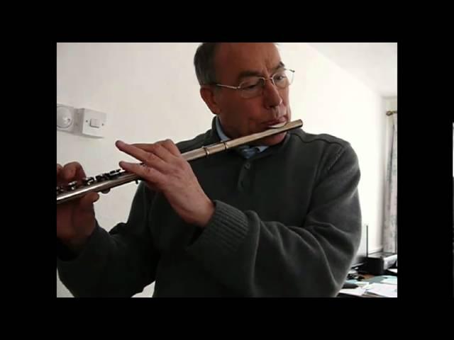 FLUTE SAMPLE